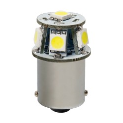 LAMPADA 