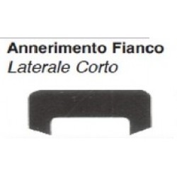 ANNERIMENTO LAT. DX IVECO 115.17