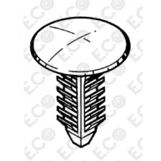 CONFEZIONE STANDARD, EC.50278ZK,