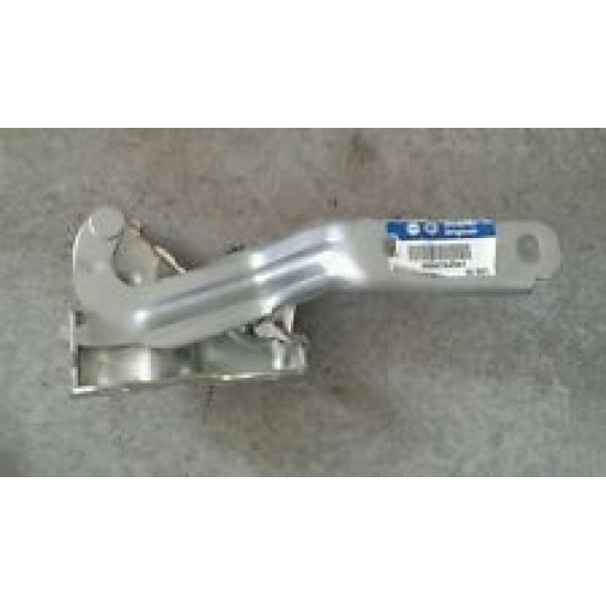 CERNIERA COFANO ANT. SX FIAT STILO