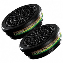 FILTRI PER MASCHERA VERNICIATURA BLS PZ. 2