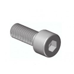 VITE BRUGOLA 8X20