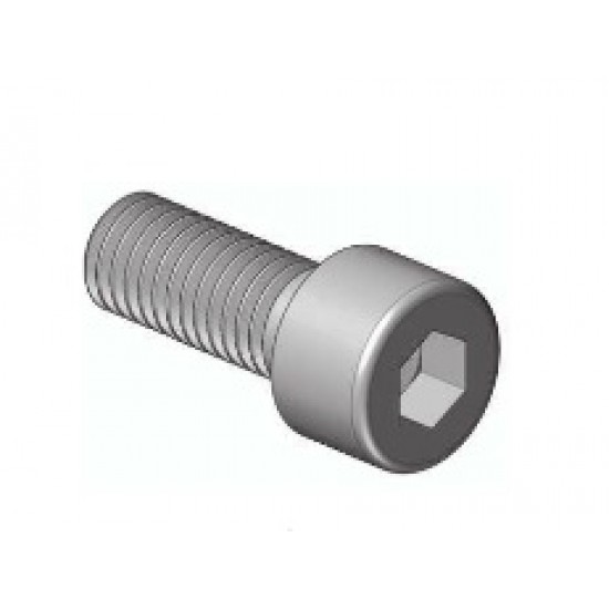 VITE BRUGOLA 8X20