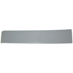 MODANATURA RIVESTIMENTO LAT. DX STRALIS