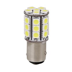 LAMPADA 