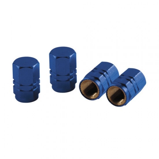 SET 4 COPRIVALVOLE EXAGONAL BLU