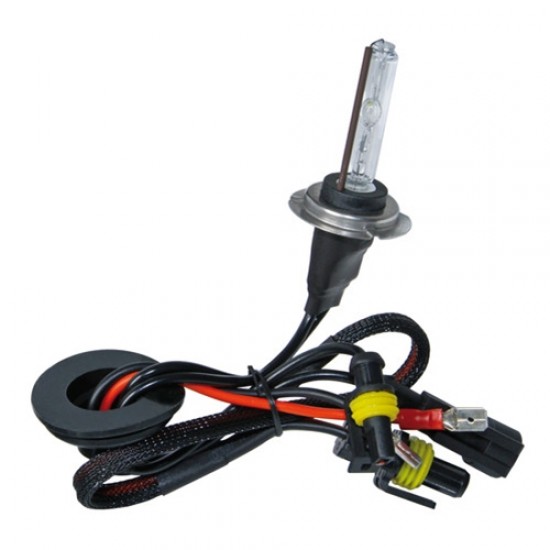 LAMPADA XENON H11 6000K