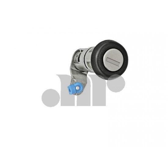BOCCOLA CHIUSURA PORTA LAT. DX POST. S/CHIAVI DAILY '00->