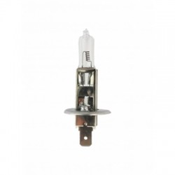 LAMPADA 12V ASIMMETRICA 45/40W