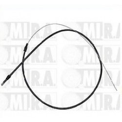 FILO COFANO ANT CINQUECENTO