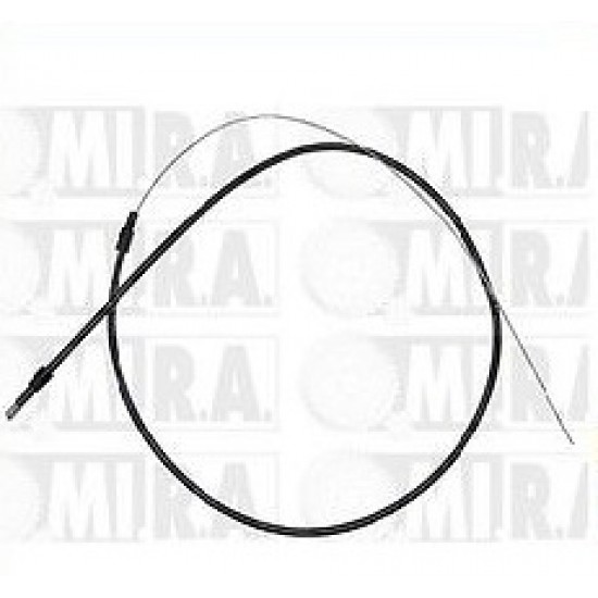 FILO COFANO ANT CINQUECENTO